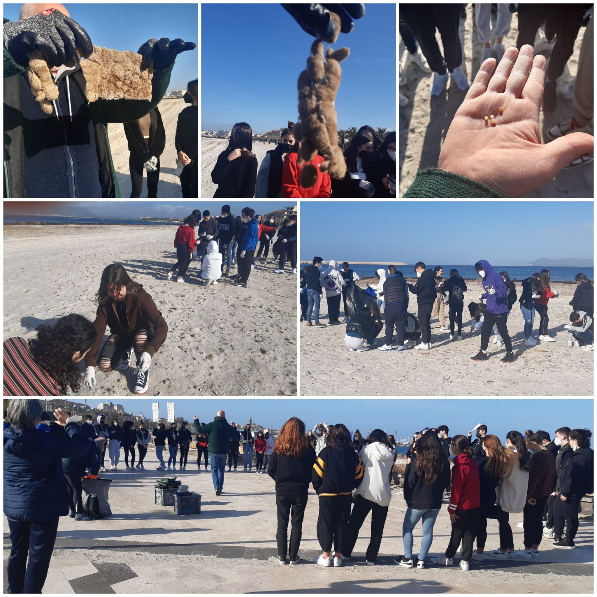L’IIS  E. Fermi di Alghero – Certificato Blue Schools